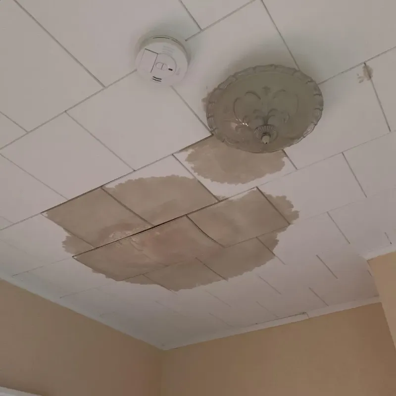 Ceiling Water Damage Repair in Arcade, NY